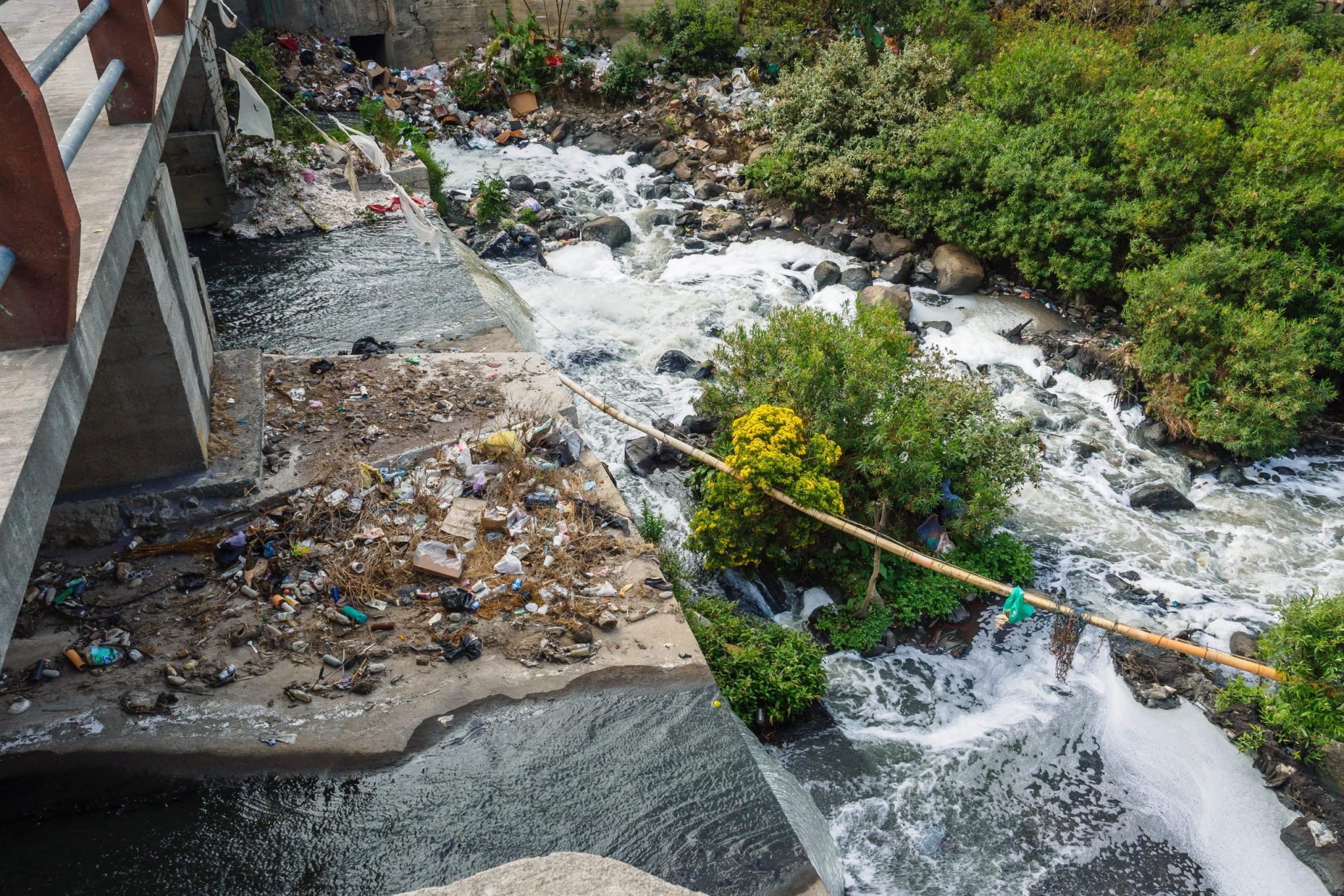 Ríos contaminados, ríos recuperados