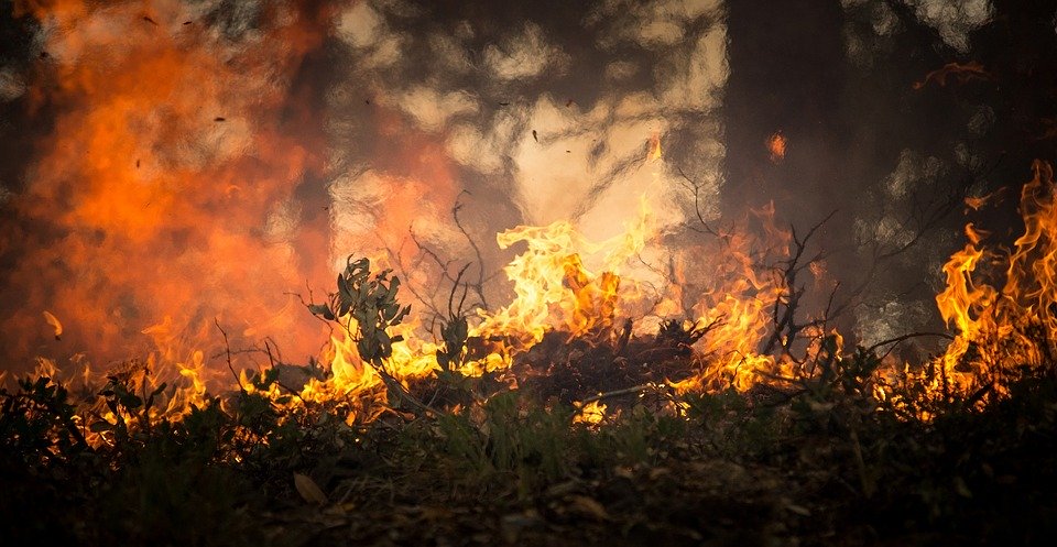 Lo que tienes que saber sobre los incendios forestales