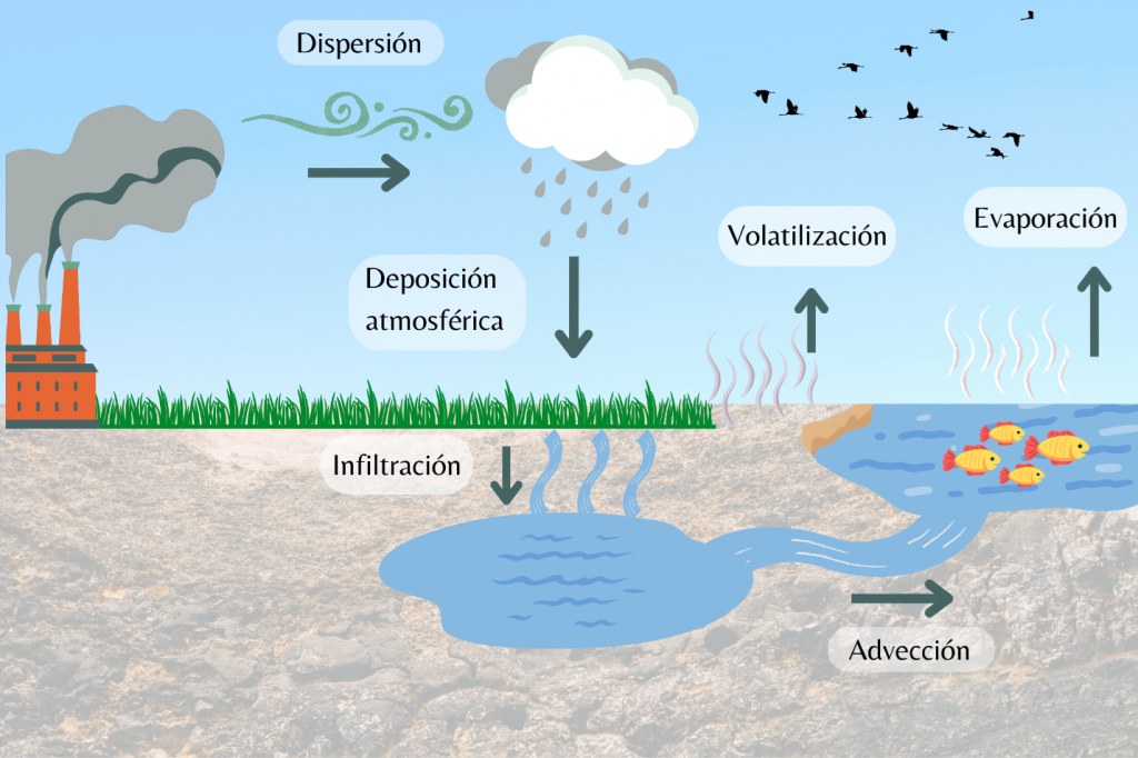 Figura 1: Procesos generales de transporte de contaminantes en el suelo, aire y agua. Fuente: elaboración propia
.