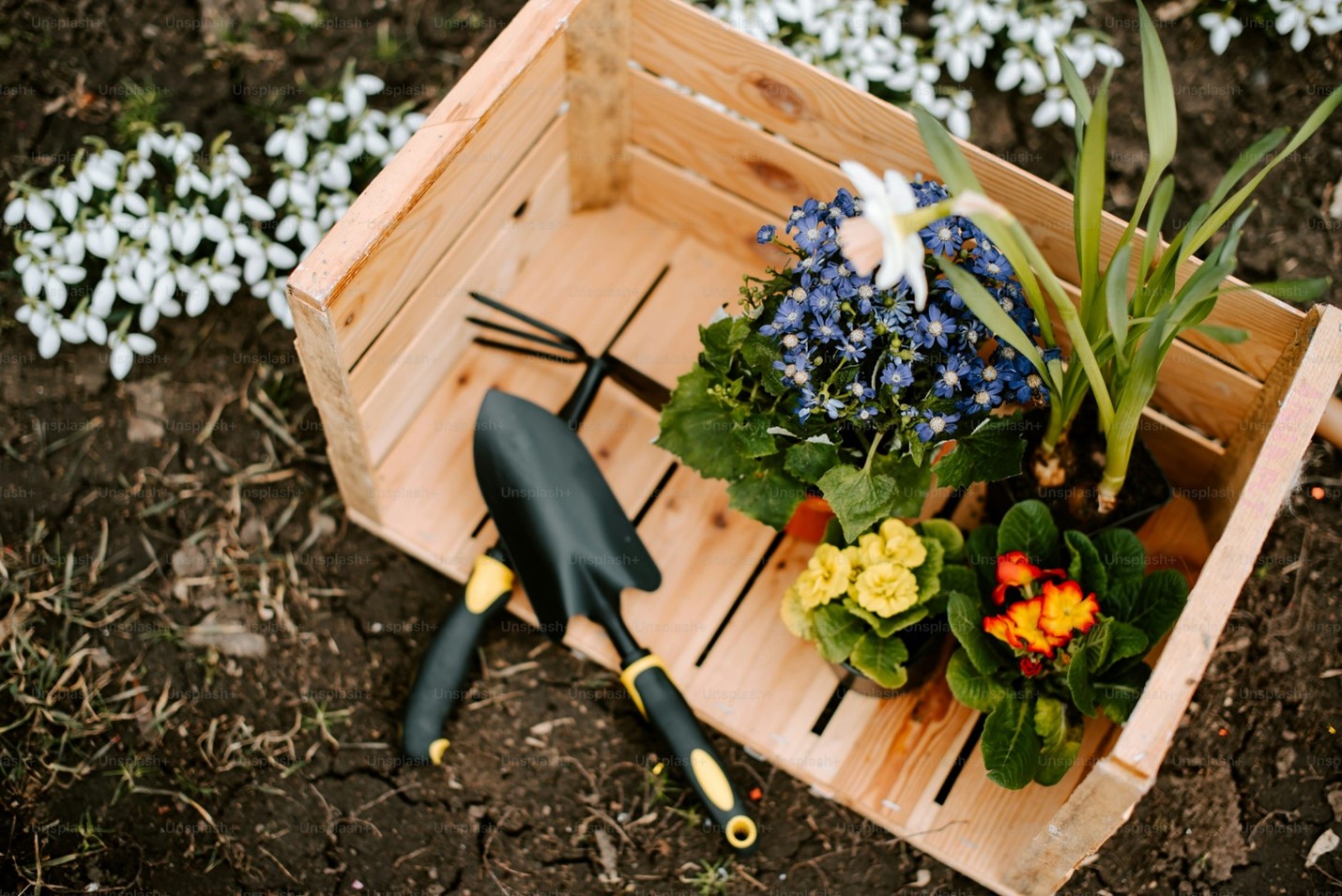 Greywater reuse, a sustainable solution for home gardening